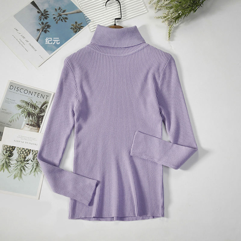 Pastel Long Sleeve Women's Knitted Turtleneck