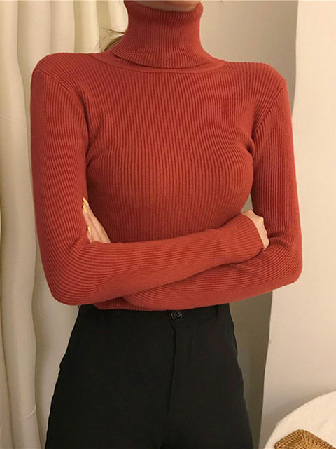 Fall Long Sleeve Women's Knitted Turtleneck