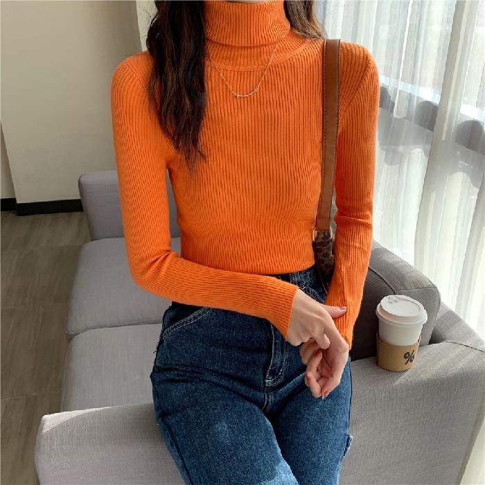 Fall Long Sleeve Women's Knitted Turtleneck