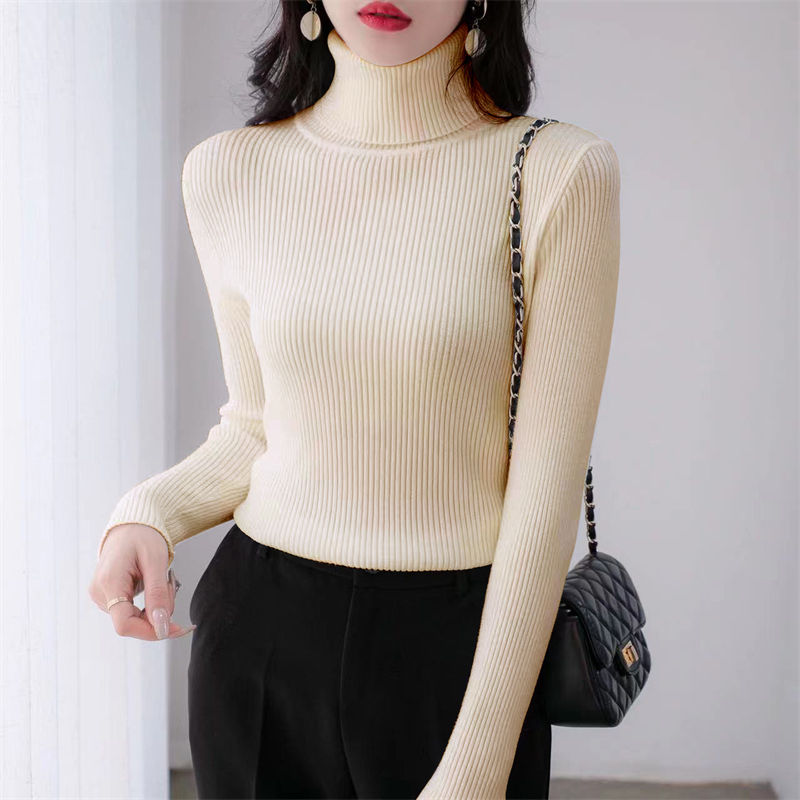 Fall Long Sleeve Women's Knitted Turtleneck