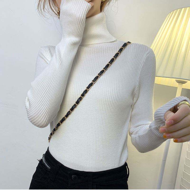 Pastel Long Sleeve Women's Knitted Turtleneck