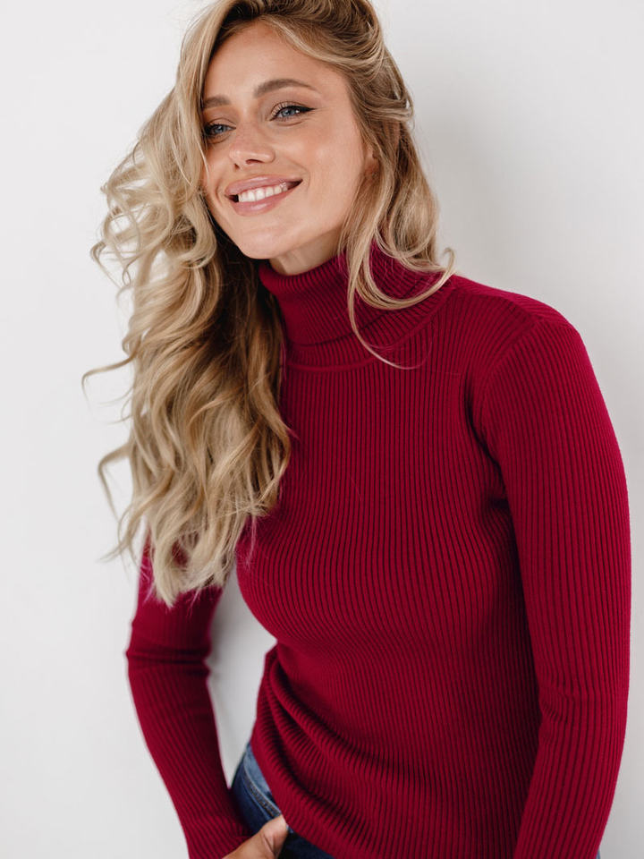 Winter Long Sleeve Women's Knitted Turtleneck