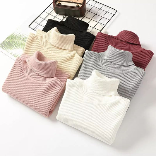 Pastel Long Sleeve Women's Knitted Turtleneck